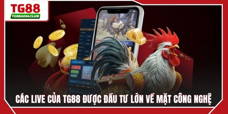 Các live của TG88 được đầu tư lớn về mặt công nghệ